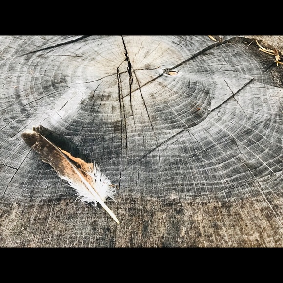 Meet your Posher, Leigh - Picture 1 of 3